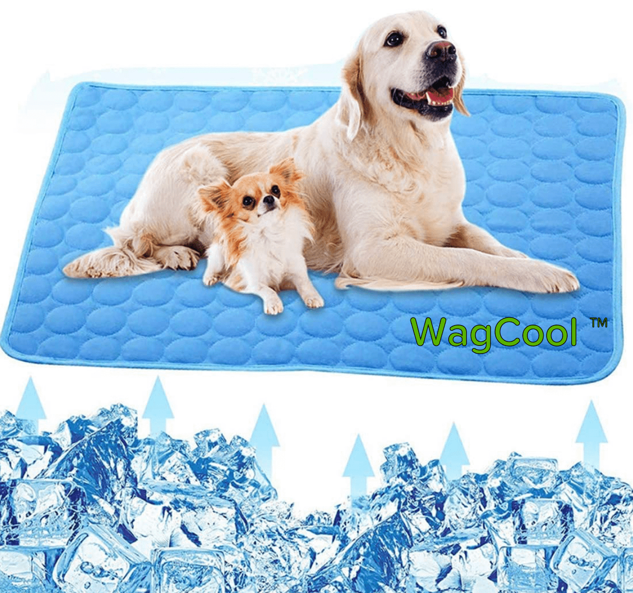 Norvo | Kjølende Hundematte - Coolpet Mat