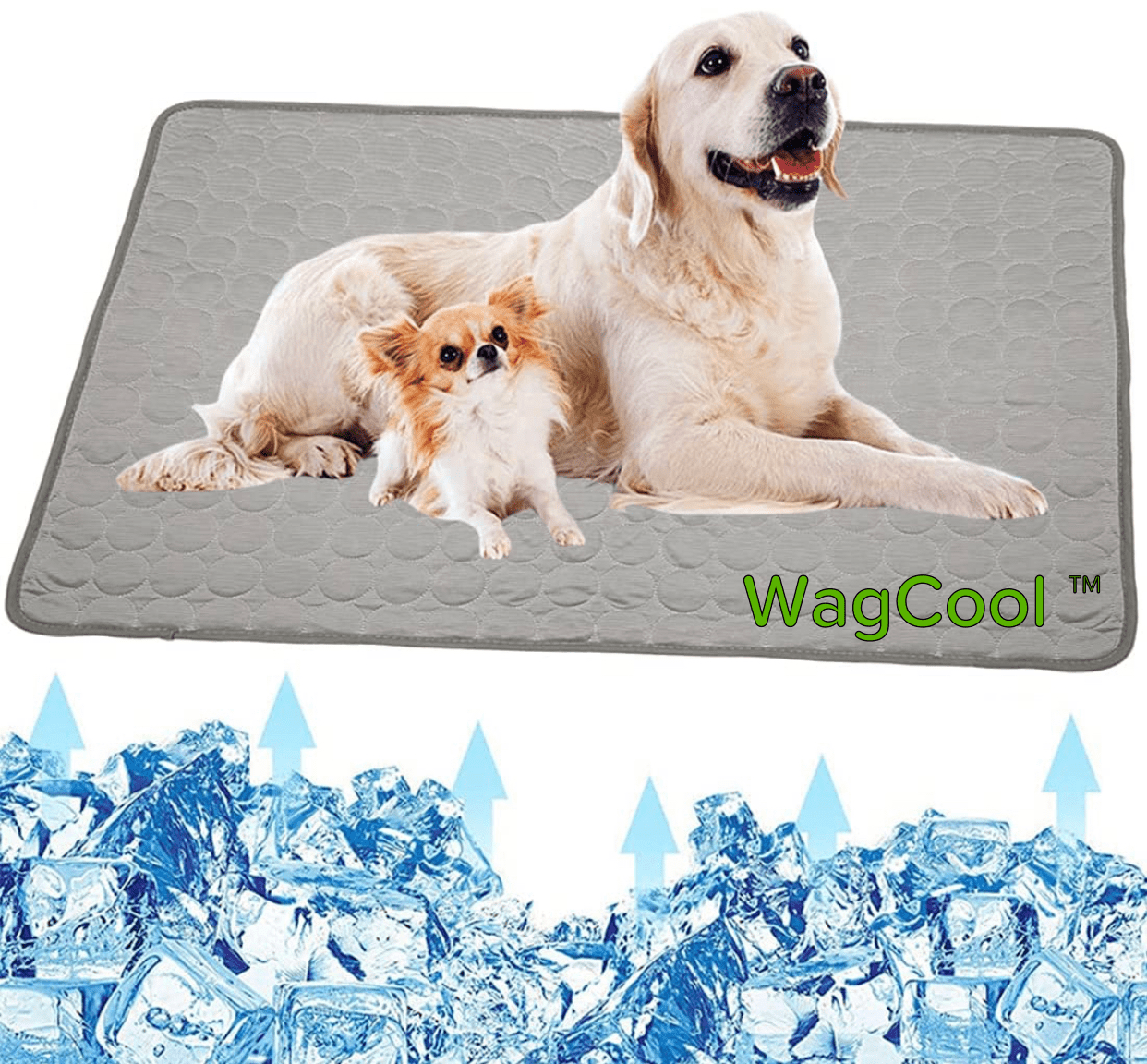Norvo | Kjølende Hundematte - Coolpet Mat