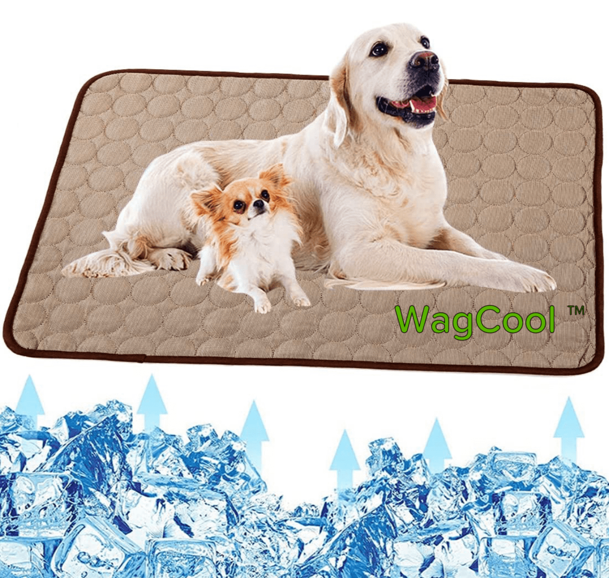 Norvo | Kjølende Hundematte - Coolpet Mat