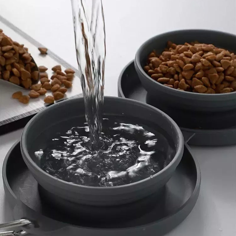 Norvo | Pawfun Reise Hund Middag Sett