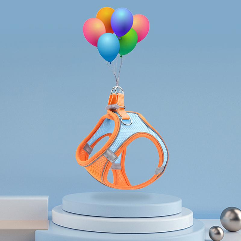 Norvo | Designet for å løfte brystet til kjæledyr