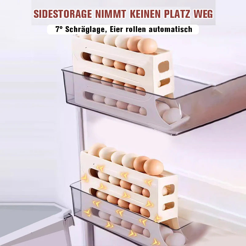 Fire-lags Egg Storage Rack | Norvo