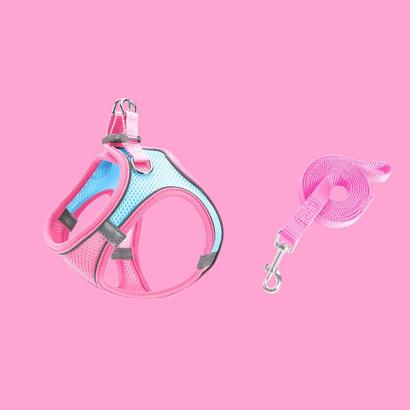 Norvo | Designet for å løfte brystet til kjæledyr