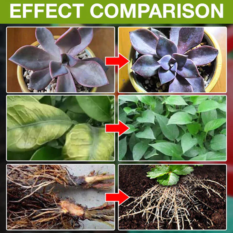 Norvo | Plantevekstforsterker Tilskudd