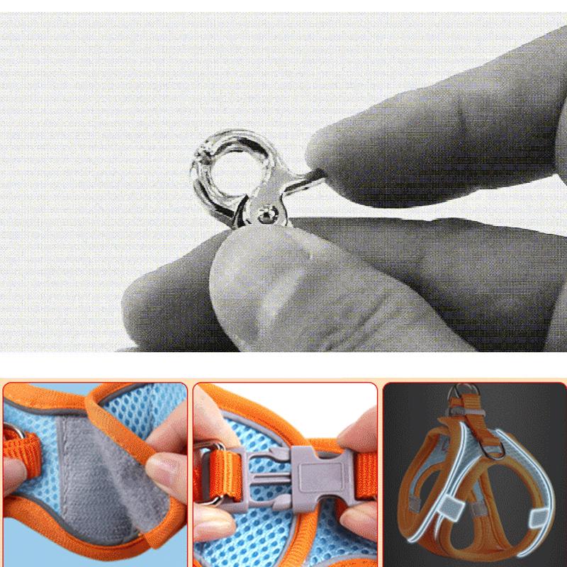 Norvo | Designet for å løfte brystet til kjæledyr