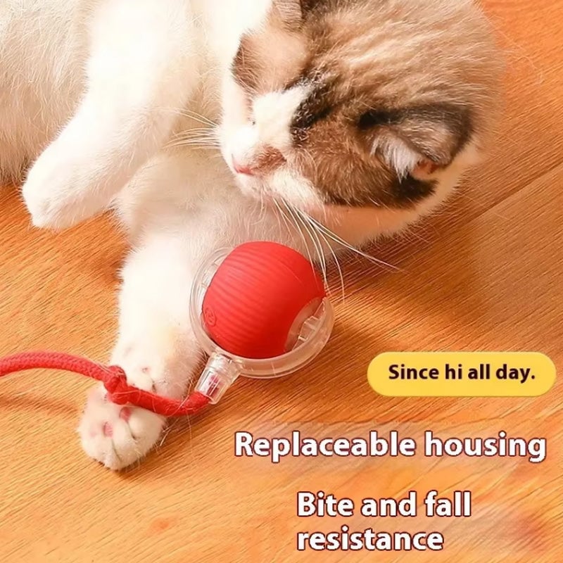 Norvo | Interaktiv Katt Lek Ball for Innendørs Bruk