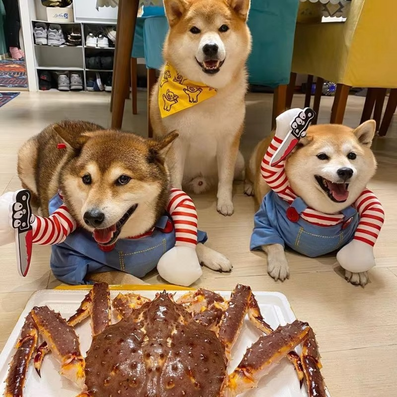 Norvo | Chucky-inspired pet costume for dogs and cats