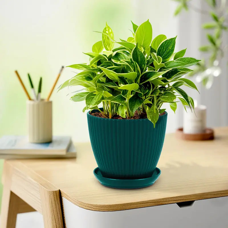 Norvo | Blomsterpotte med sporstruktur og skål – Robust plastpotte for planter