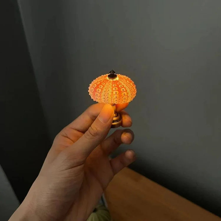 Norvo | LumiCraft – Unik DIY bordlampe med naturlig sjøskjell for en koselig dekor