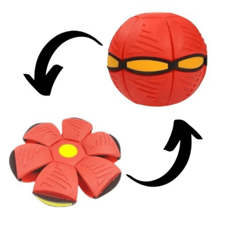 Norvo | Fast FidoHuntlet — Start ren lekenhet og kraft i hvert hundeblikk!