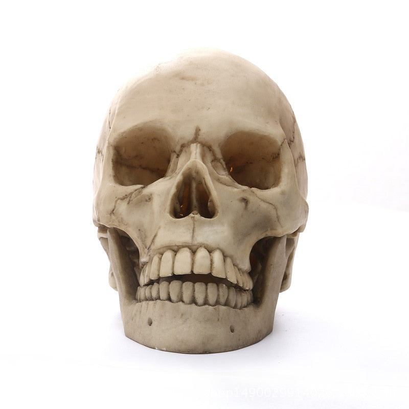 Norvo | 1:1 Menneskeskalle Statue for Hjemmedekorasjon Harpiksfigurer Halloween Dekorasjon Skulptur Medisinsk Undervisning Skissemodell Håndverk