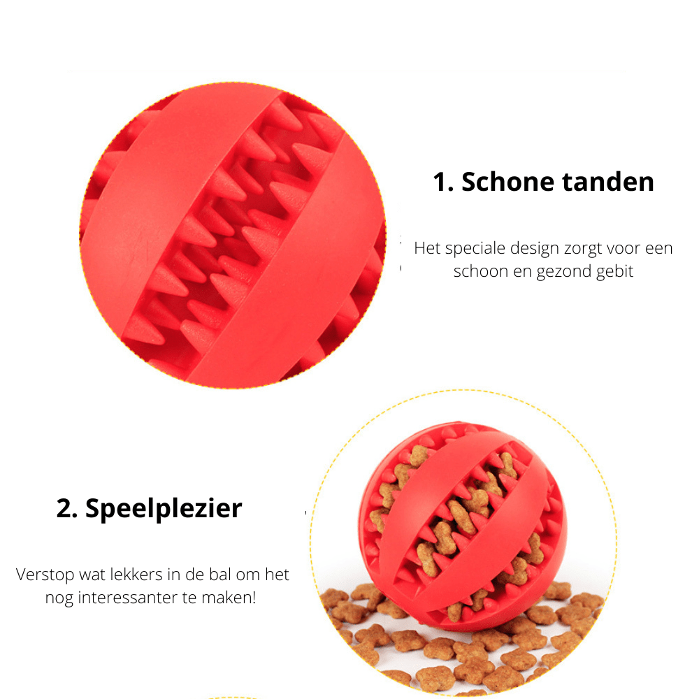 Norvo | Interaktiv hundelek med tannpleieeffekt