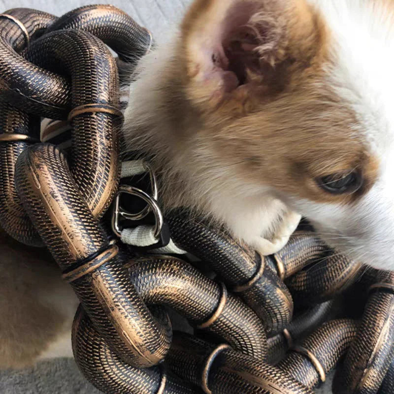 Norvo | Morsom Stor Hundekrage