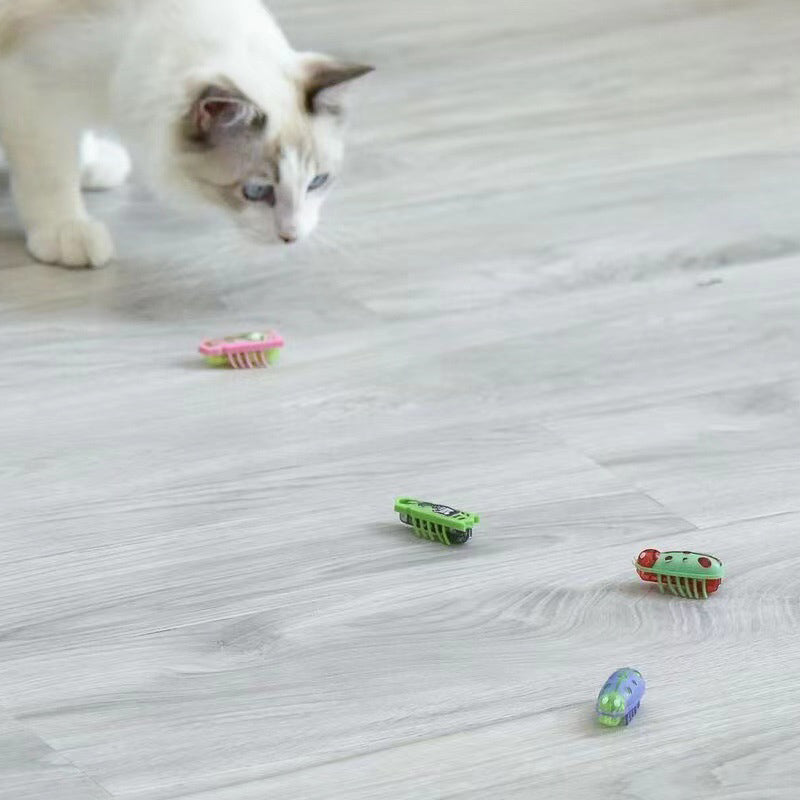 Norvo | Pet Electric Insect Toy
