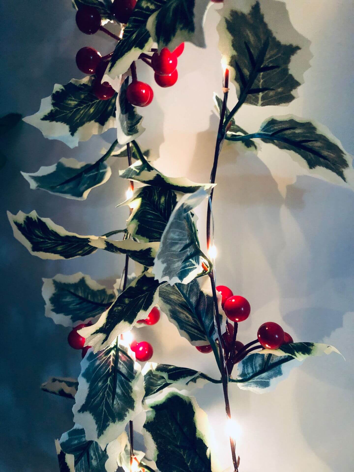 Norvo | Jule Rød Frukt Rattan Fest Vindu Patio Fest Takkefest Dekorasjon Lyskæde