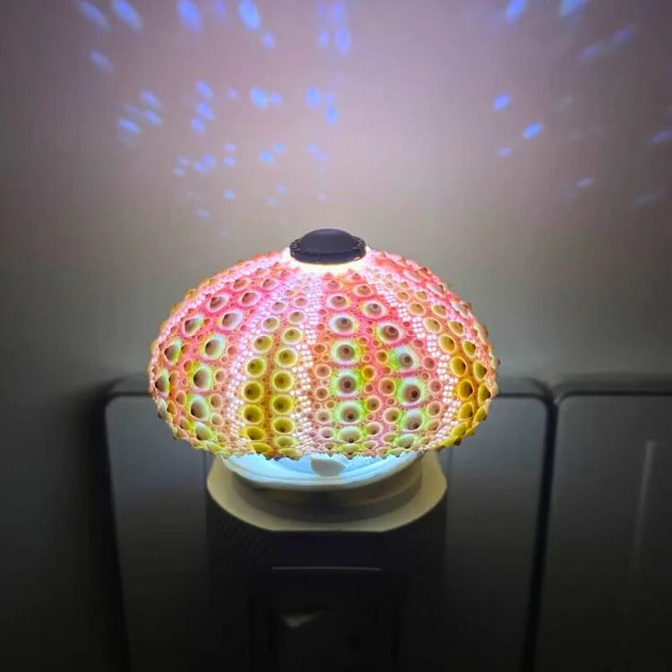 Norvo | LumiCraft – Unik DIY bordlampe med naturlig sjøskjell for en koselig dekor