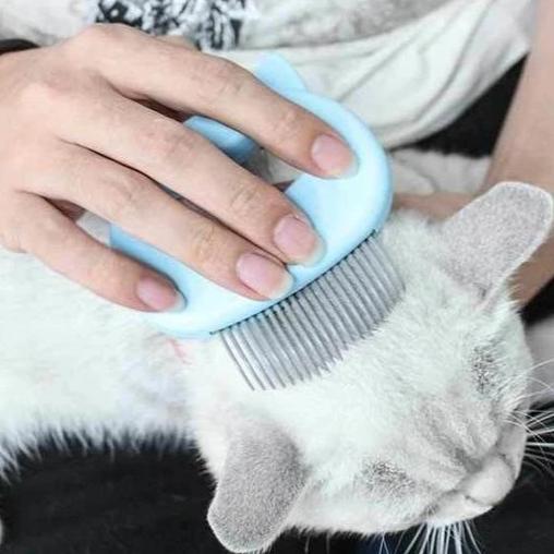Norvo | & Trimplezier For Cat