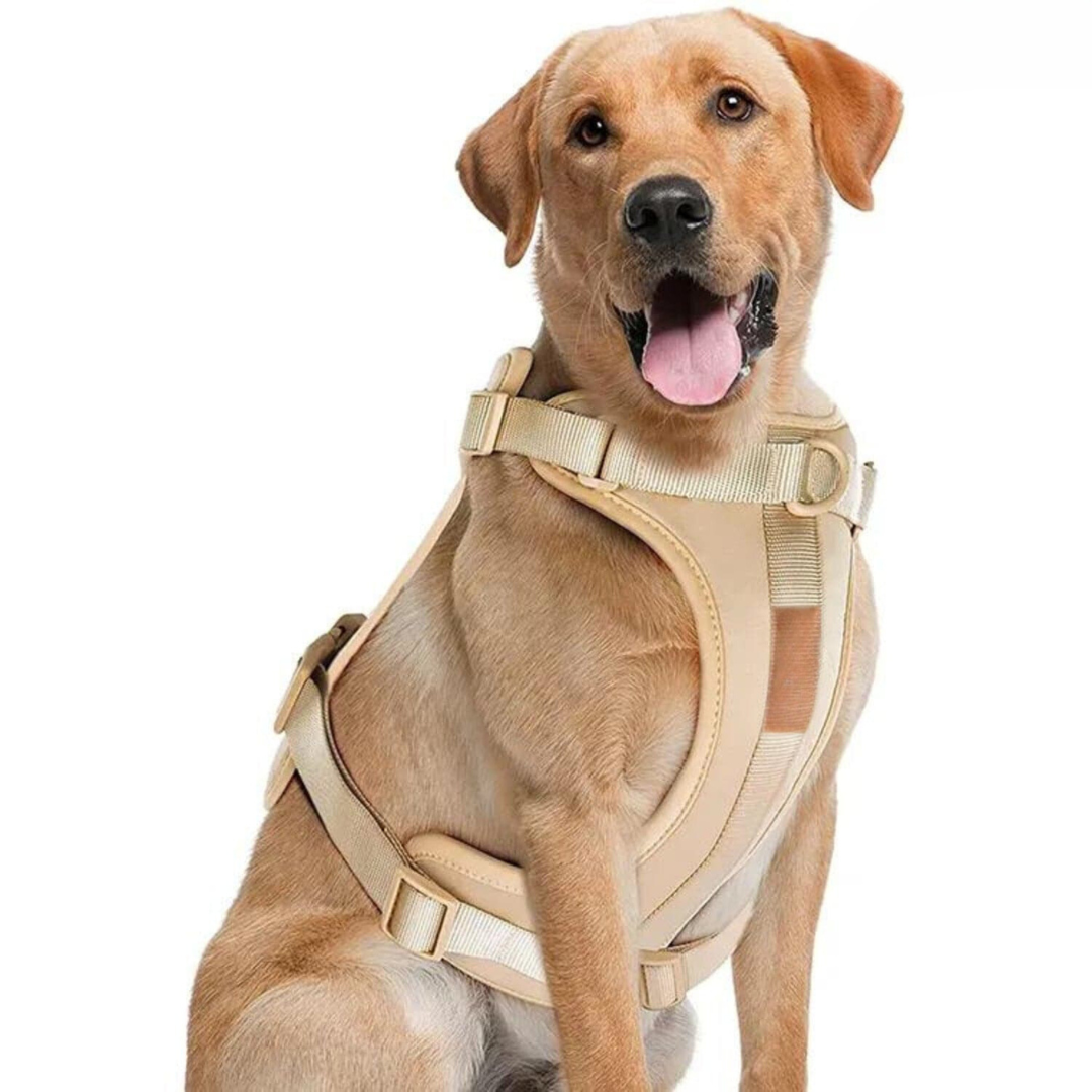 Norvo | ComfyPaws Hundesele Gåsett med Bånd og Bæsjeposeholder
