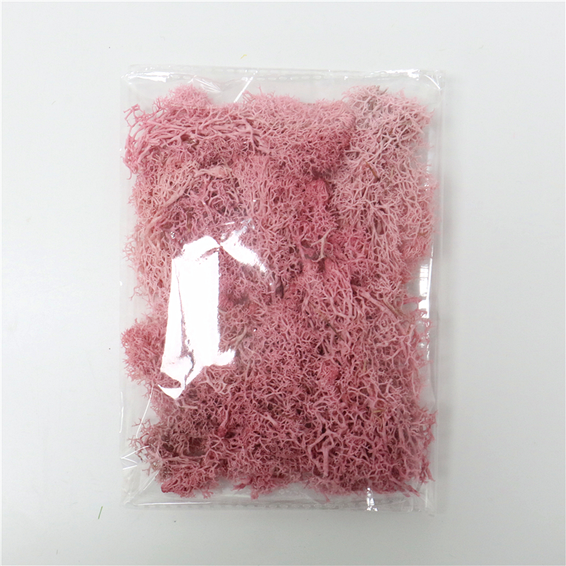 Norvo | Kunstig Mose for Landskapsforming – Mose og Blomster for Dekorasjon og Blomsterbinding