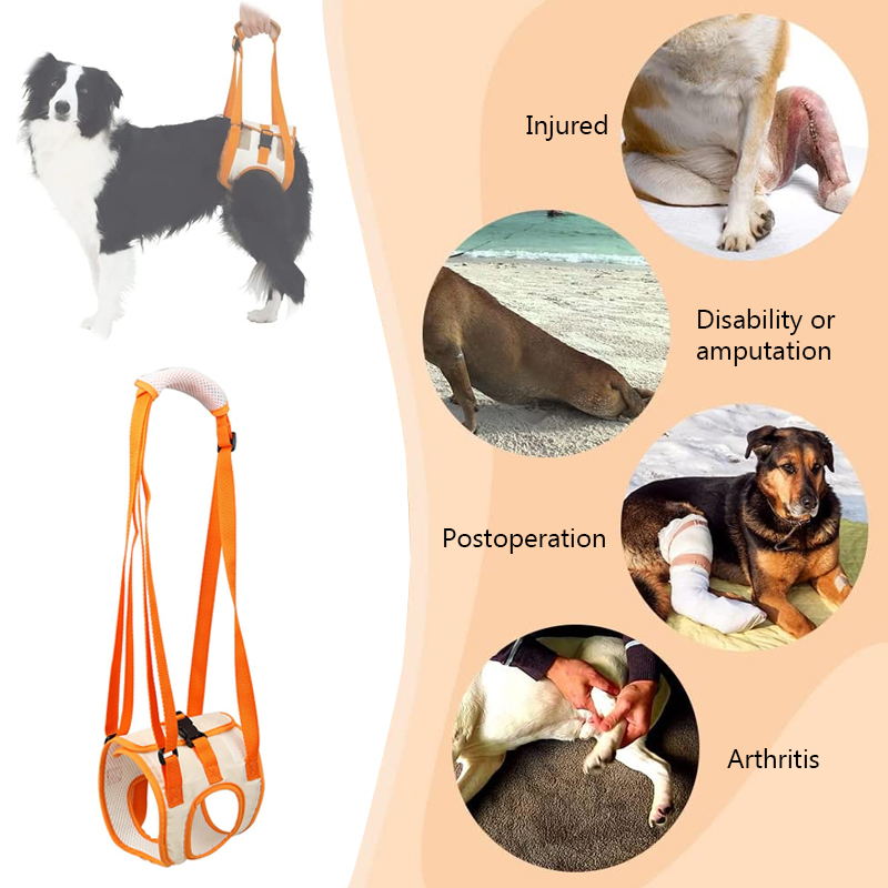 Norvo | Dog Support Lift Harness for ACL Rehab & Arthritis