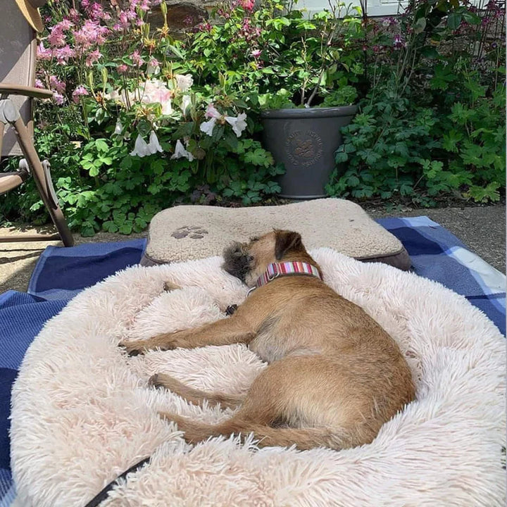 Norvo | Beroligende Hundeseng