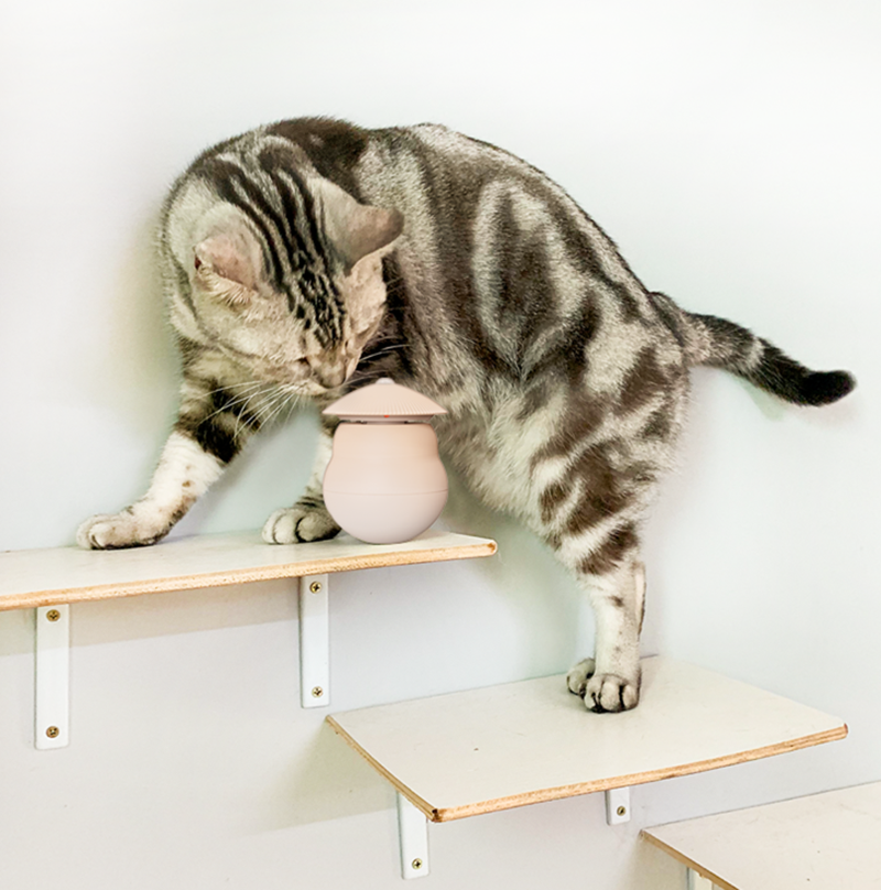 Norvo | Automatisk Laser Infrarød Katt Leke