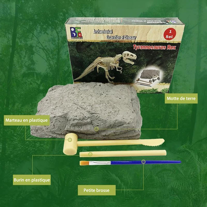 arkeologisk dinosaurleke | Norvo