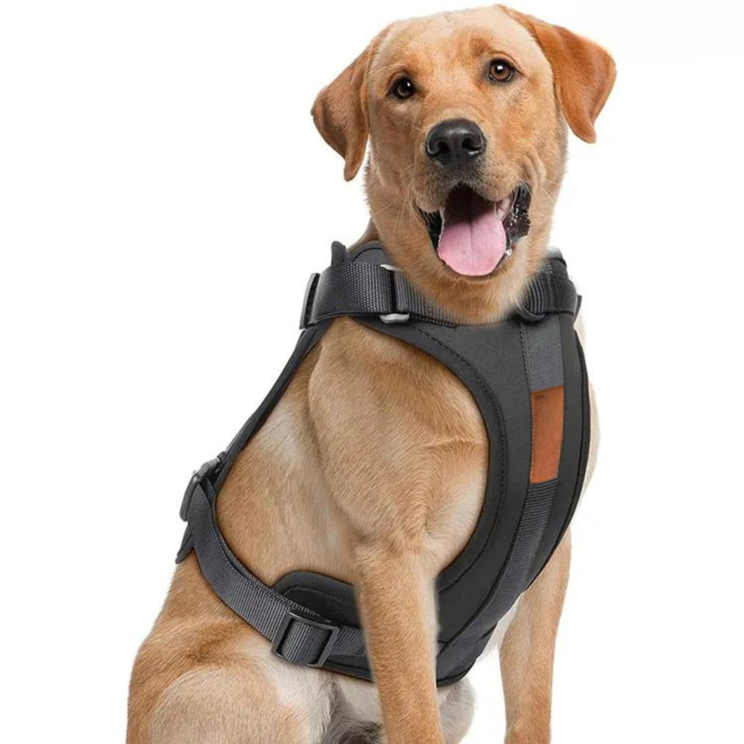 Norvo | ComfyPaws Hundesele Gåsett med Bånd og Bæsjeposeholder