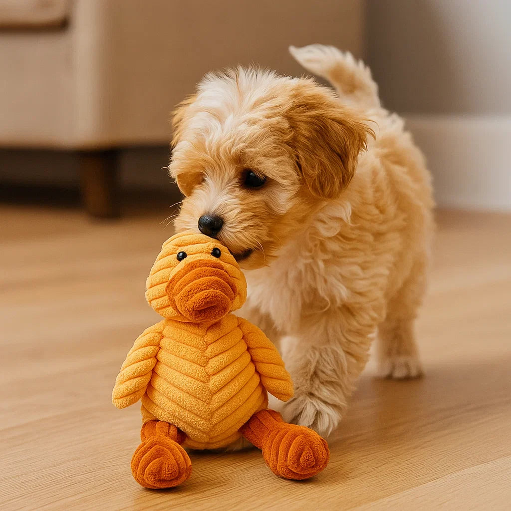 Norvo | Hundelek Plush Squeaky Chew Dyr