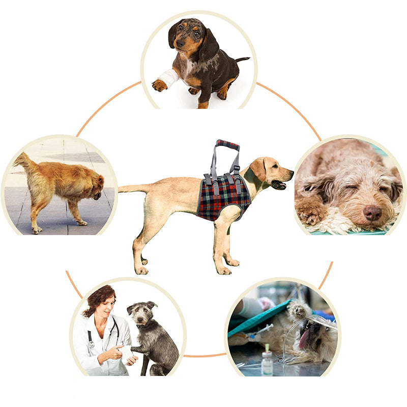 Norvo | Ortopedisk stropp for bakben