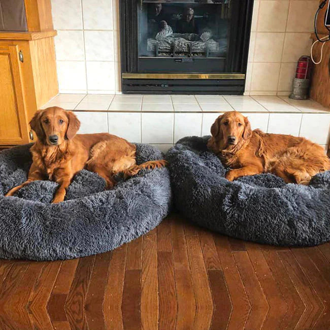 Norvo | Beroligende Hundeseng