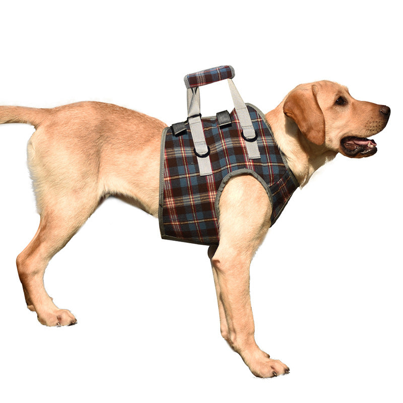 Norvo | Dog Lift Harness with Handle, Pet Recovery Sling