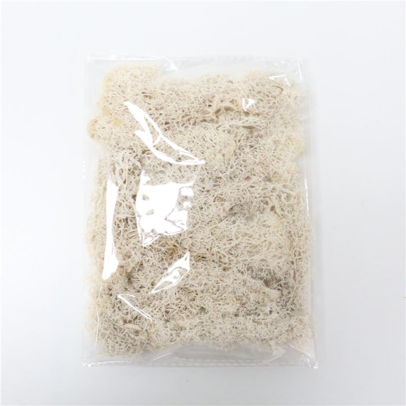 Norvo | Kunstig Mose for Landskapsforming – Mose og Blomster for Dekorasjon og Blomsterbinding