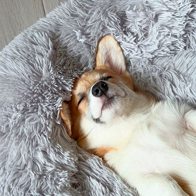 Norvo | Beroligende Hundeseng