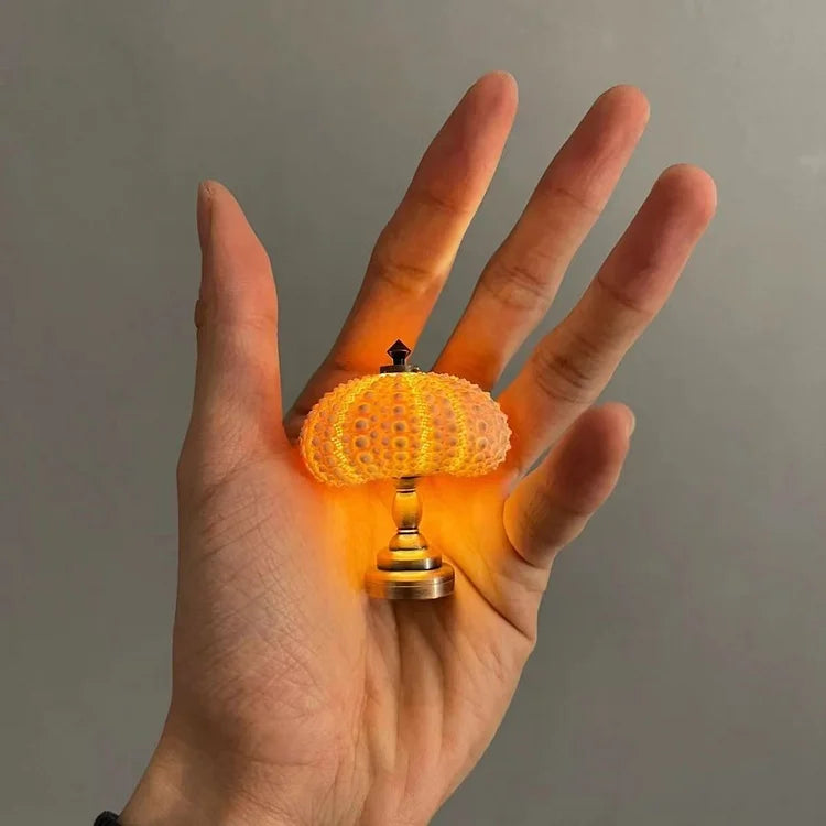 Norvo | LumiCraft – Unik DIY bordlampe med naturlig sjøskjell for en koselig dekor