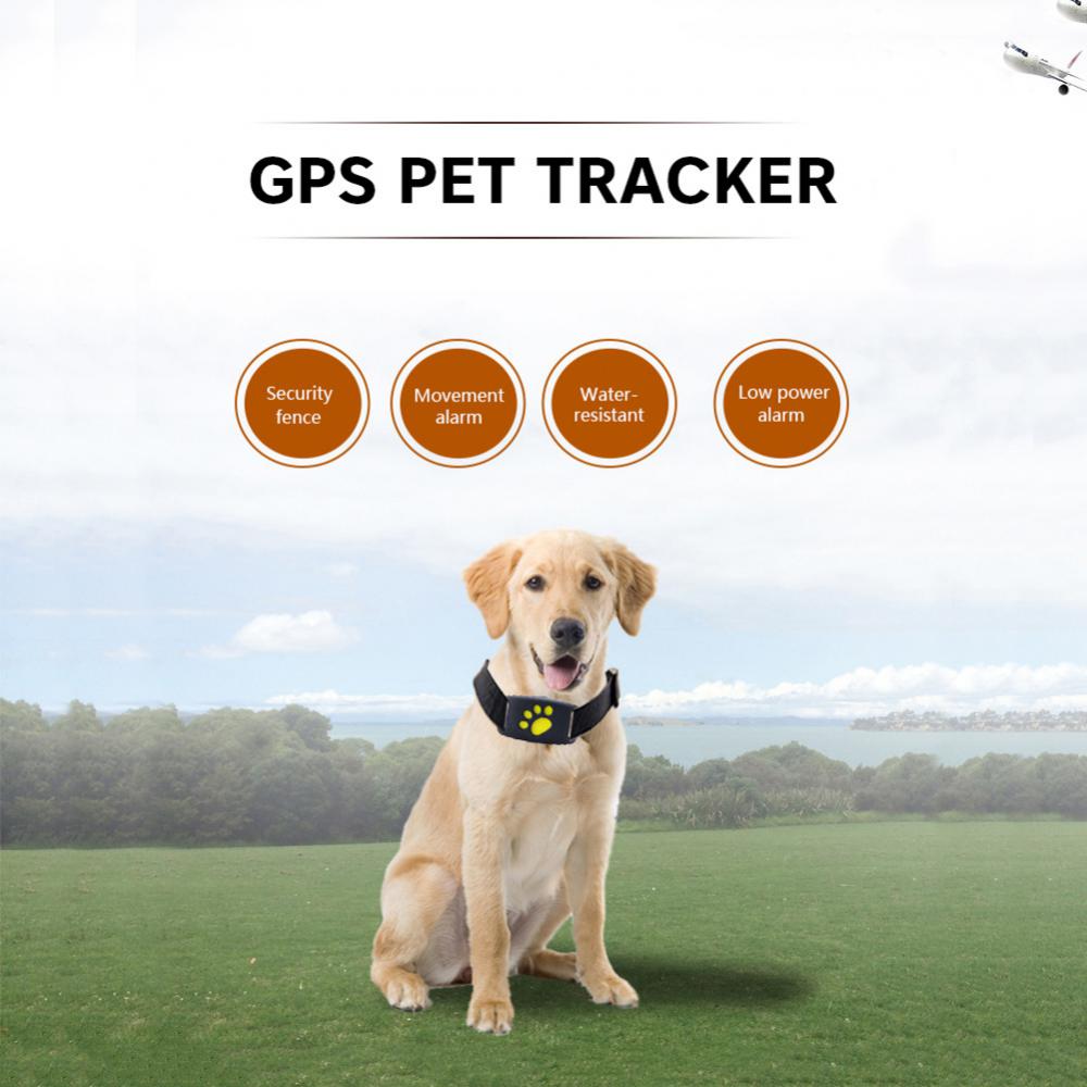 Norvo | Pet GPS Tracker Halsbånd
