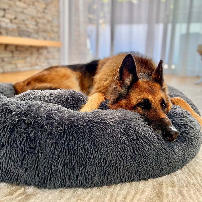 Norvo | Beroligende Hundeseng