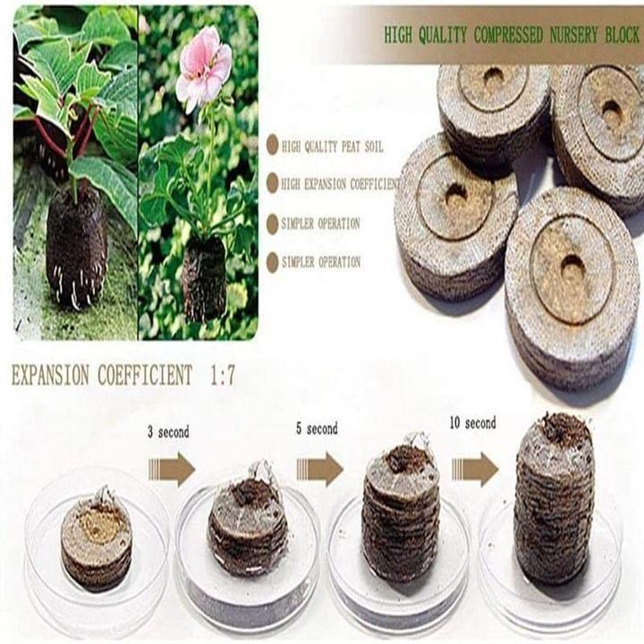 Norvo | Barnehage Ernæring Blokk