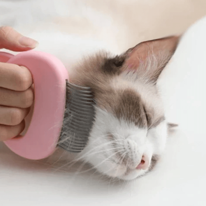 Norvo | MASSAGE & CARE JOY FOR YOUR CAT!