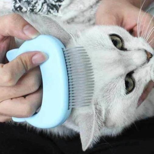Norvo | MASSAGE & CARE JOY FOR YOUR CAT!