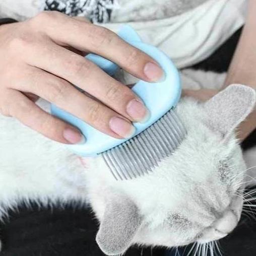 Norvo | MASSAGE & CARE JOY FOR YOUR CAT!