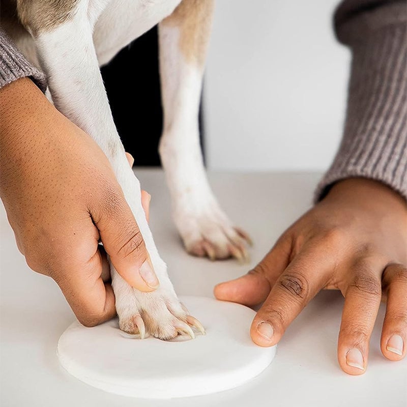 Norvo | Clay Pet Paw Impression Moulding Kit