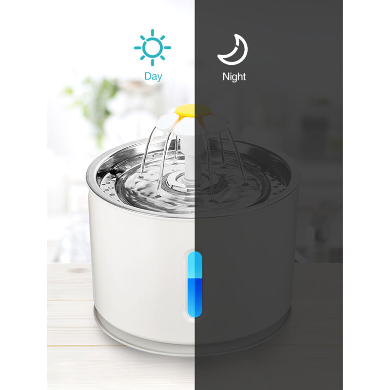 Norvo | Katt Vannfontene