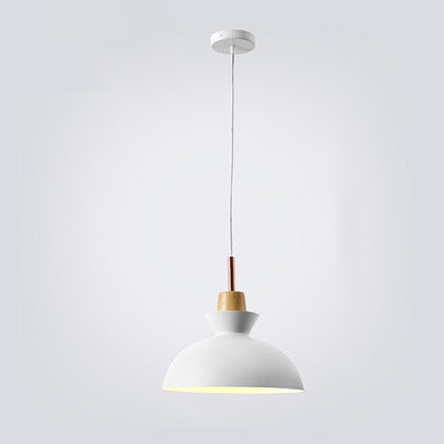 Norvo | AuroraLite Nordic Pendant Lamp | Metal Design | 1-Light | Modern Color Options