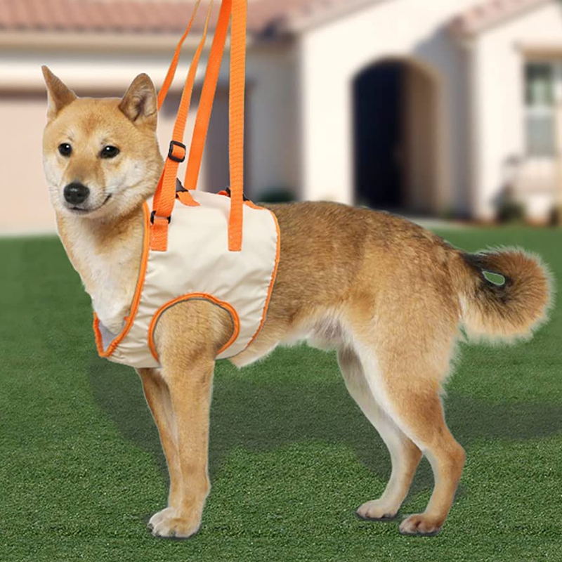 Norvo | Dog Support Lift Harness for ACL Rehab & Arthritis