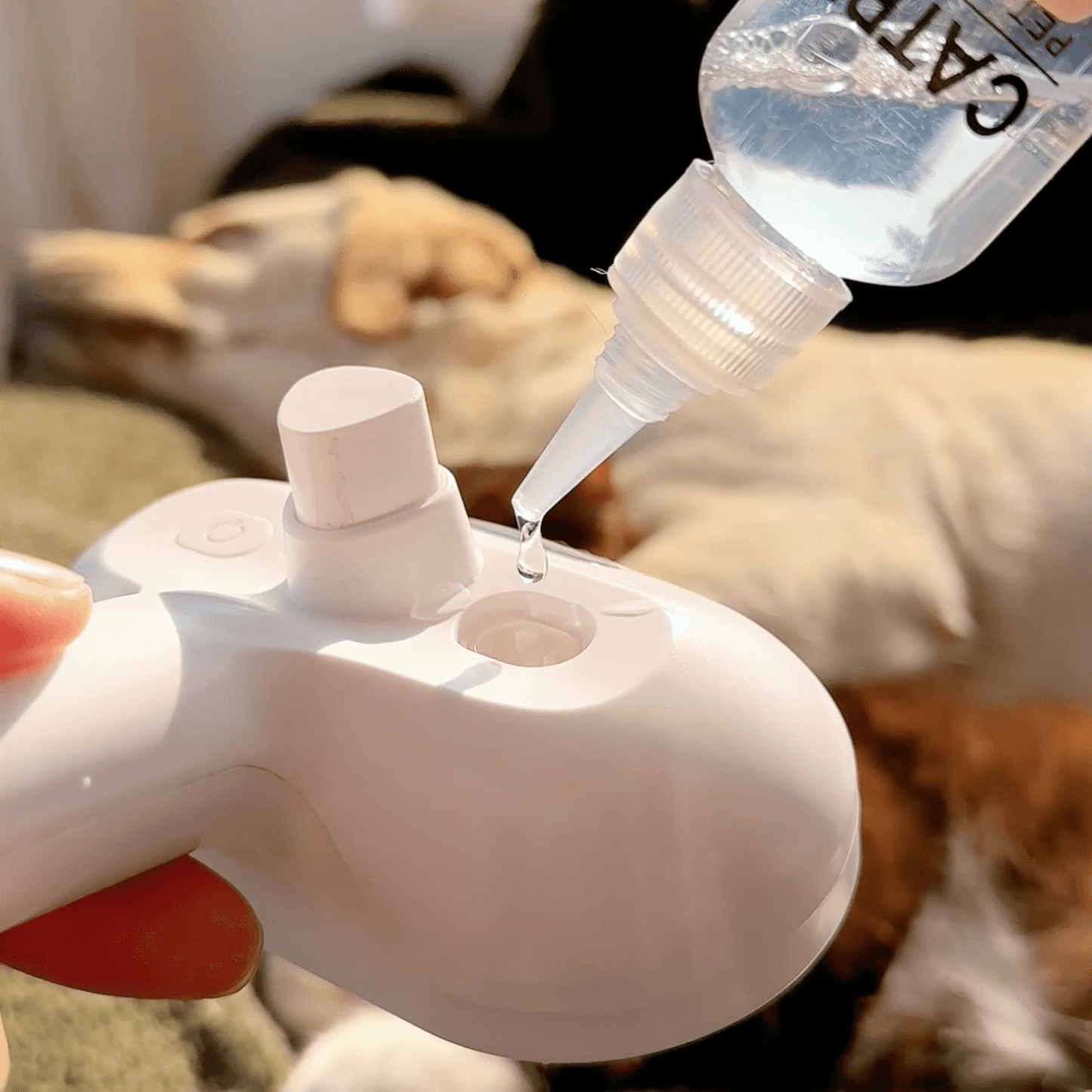 Norvo | DampfVacht Steam Brush – Skånsom pleie for hver hundepels