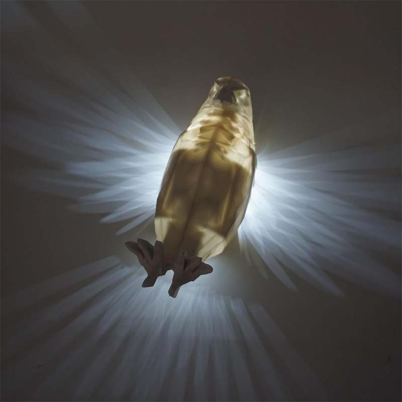 Norvo | Spritz-cast Ugle Ørn Nattlys