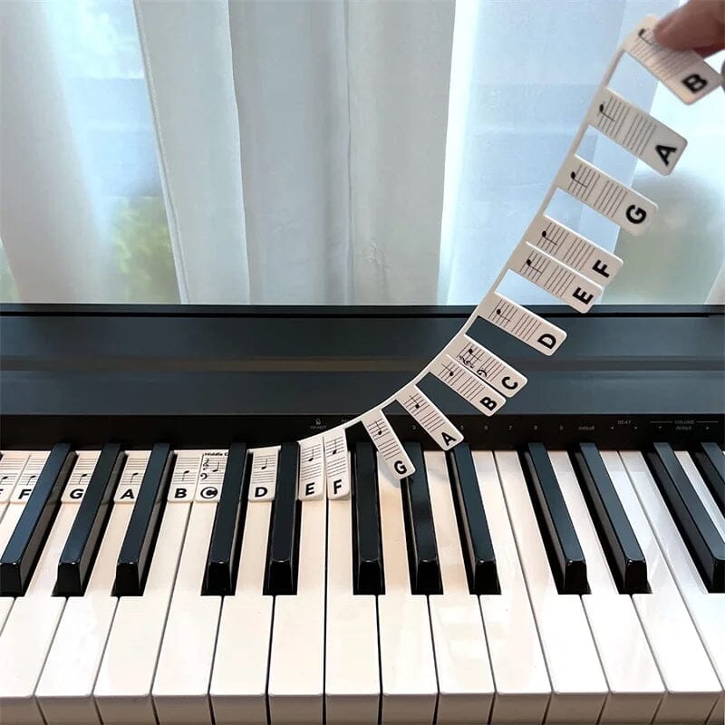 Norvo | Avtakbare piano tastatur noteetiketter