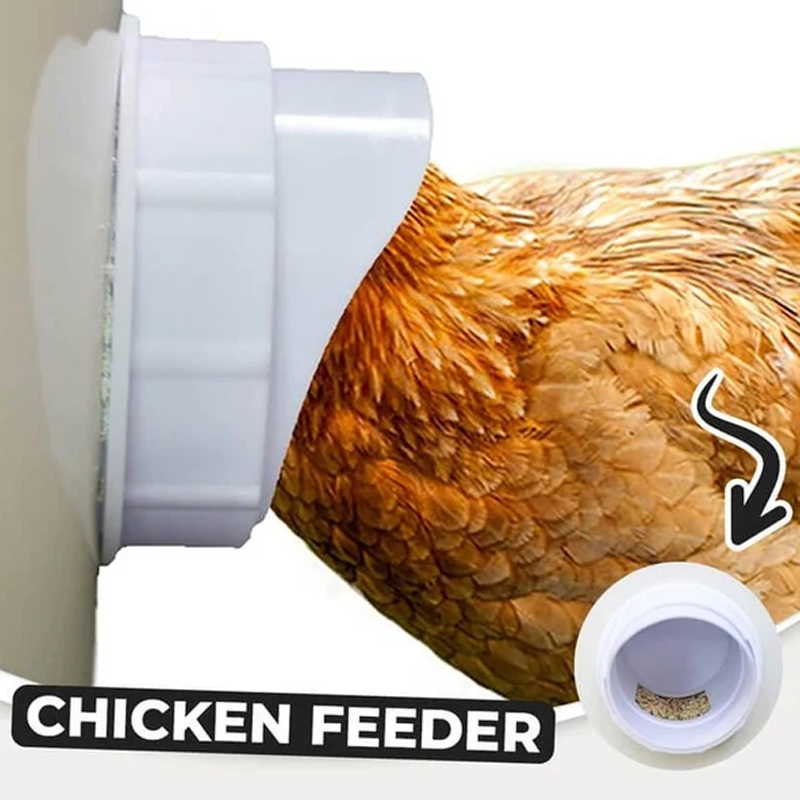 Norvo | DIY Kyllingmater