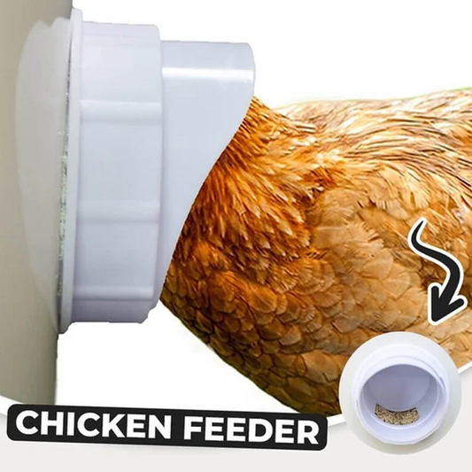 Norvo | DIY Kyllingmater